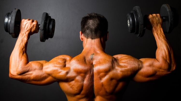 Rear view of bodybuilder training with dumbbells